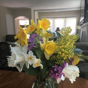 Meet your Posher, Kathy